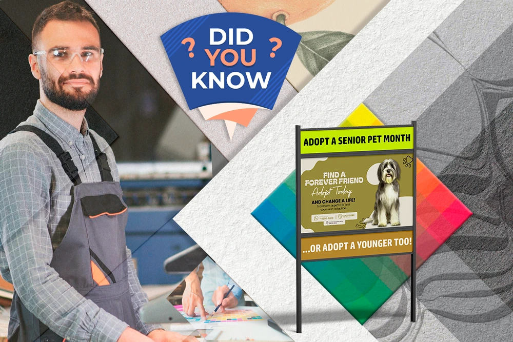 A designer wearing safety goggles stands confidently in a print shop. Next to him is a "Did You Know?" banner, accompanied by a yard sign of a pet shop with dog image